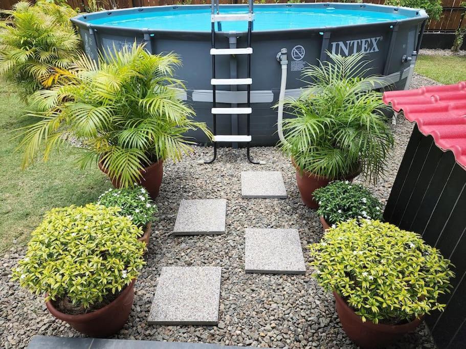 Maddy'S House Villa Maatea Bagian luar foto